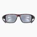 UVEX Sportstyle 230 braun Fahrradbrille S5320696616 8