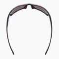 UVEX Sportstyle 230 braun Fahrradbrille S5320696616 9