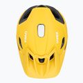 UVEX Quatro Integrale sunbee/schwarz Fahrradhelm 6