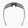 UVEX Sportstyle 235 Eiche braun matt/verspiegelt silberne Fahrradbrille 53/3/003/6616 8