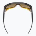 UVEX Mtn Style CV havanna matt fade/verspiegelt champagner Sonnenbrille 4