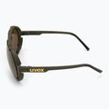 UVEX Sonnenbrille Esntl Pina moosgrün matt/verspiegelt gold 4