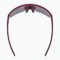 Sonnenbrille UVEX Ramp burgundy matt/mirror rose 5