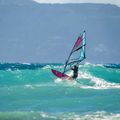 NeilPryde Segel Dragonfly HD C1 lila Windsurfsegel NP-120035-C1027 4