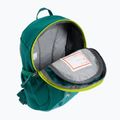 Deuter Pico 5 l Kinder-Wanderrucksack grün 361002132390 4