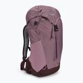 Damen-Wanderrucksack deuter AC Lite SL 14 l rosa 342052155680