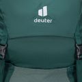 Damen-Wanderrucksack deuter Futura SL 30 l grün 340072122830 5