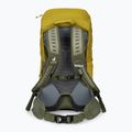 Deuter AC Lite 30 l Wanderrucksack 342102182080 kurkuma/khaki 3