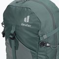 Damen-Wanderrucksack deuter Trail Pro 31 SL grün 34410233464 6
