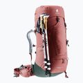 Damen-Trekking-Rucksack deuter Aircontact Lite 45 + 10 SL 55 l 334022352150 caspia/ivy 7