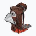 Deuter Freescape Pro 40+ l Fallschirmspringer-Rucksack 330032269020 umbra/papaya 4