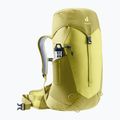 Touristischer Rucksack Damen deuter AC Lite 22 l SL sprout/linden 5