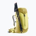 Touristischer Rucksack Damen deuter AC Lite 22 l SL sprout/linden 6