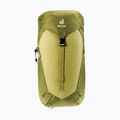 Deuter Wanderrucksack AC Lite 24 l Linden/Kaktus