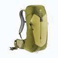 Deuter Wanderrucksack AC Lite 24 l Linden/Kaktus 2