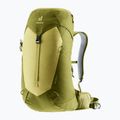 Deuter Wanderrucksack AC Lite 24 l Linden/Kaktus 4