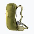 Deuter Wanderrucksack AC Lite 24 l Linden/Kaktus 5
