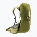 Deuter Wanderrucksack AC Lite 24 l Linden/Kaktus 6