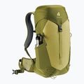 Deuter Wanderrucksack AC Lite 24 l Linden/Kaktus 8