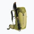 Deuter Wanderrucksack AC Lite 24 l Linden/Kaktus 9