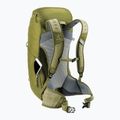 Deuter Wanderrucksack AC Lite 24 l Linden/Kaktus 12