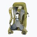 Deuter Wanderrucksack AC Lite 24 l Linden/Kaktus 13
