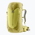 Touristischer Rucksack Damen deuter AC Lite 28 l SL sprout/linden 2