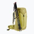 Touristischer Rucksack Damen deuter AC Lite 28 l SL sprout/linden 10