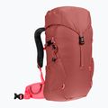 Touristischer Rucksack Kinder deuter Climber 22 l redwood/hibiscus 2