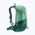 Touristischer Rucksack Damen deuter Futura 21 l SL spearmint/seagreen 3