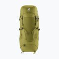 Trekkingrucksack deuter Aircontact Core 40 + 10 l Kaktus/Efeu