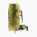 Trekkingrucksack deuter Aircontact Core 40 + 10 l Kaktus/Efeu 5