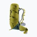 Trekkingrucksack deuter Aircontact Core 40 + 10 l Kaktus/Efeu 7
