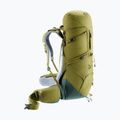 Trekkingrucksack deuter Aircontact Core 40 + 10 l Kaktus/Efeu 8