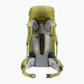 Deuter Aircontact Core 50+10 l cactus/ivy Trekking-Rucksack 4