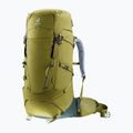 Deuter Aircontact Core 50+10 l cactus/ivy Trekking-Rucksack 6