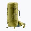 Trekking Rucksack deuter Aircontact Core 70+10 l cactus/ ivy 2