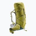 Trekking Rucksack deuter Aircontact Core 70+10 l cactus/ ivy 5