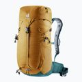Deuter Trail 24 l Mandel/Tiefsee Wanderrucksack 2