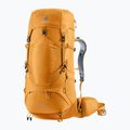 Trekking Rucksack deuter Aircontact Lite 40 + 10 l amber-maple 11