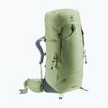 Damen Trekkingrucksack deuter Aircontact Lite 45 + 10 SL grove/ivy 2
