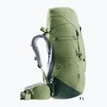 Damen Trekkingrucksack deuter Aircontact Lite 45 + 10 SL grove/ivy 7