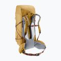 Deuter Aircontact Ultra 50 + 5 l savanna-raisin Trekking-Rucksack 9