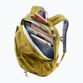 Rucksack deuter Gogo 25 l kelp/nori 8