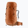 Damen-Trekkingrucksack deuter Aircontact Lite 45 + 10 l SL pecan/mocha 2