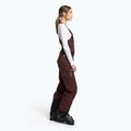 Damenskihose Maloja W'S MaleachiM braun 32102 3