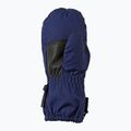 Skihandschuhe Kinder ZIENER LE Zoo Minis estate blue 3