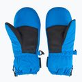 Skihandschuhe Kinder ZIENER LE Zoo Minis persian blue 2
