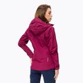 Salewa Damen Regenjacke Sella Responsive kastanienbraun 00-0000027879 3
