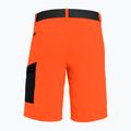 Herren Salewa Pedroc Cargo 2 Wandershorts orange 26934 5